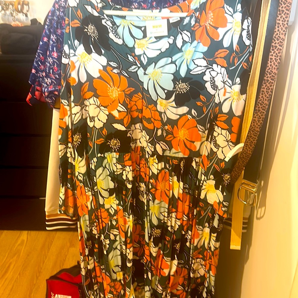 Maeve drop waist floral dress- 3X